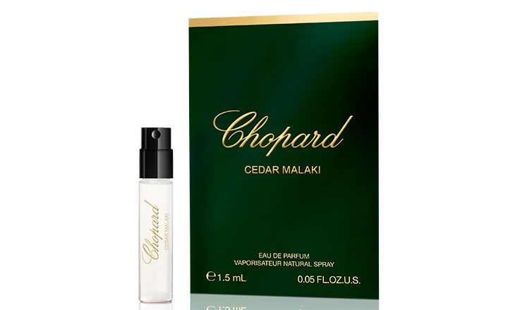 اترك انطباعاً استثنائياً في اليوم الوطني الإماراتي مع عطر CEDAR MALAKI